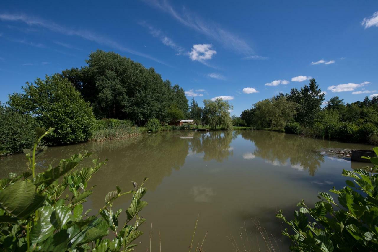 Des Peupliers Holiday home Girondelle